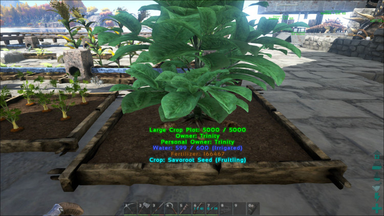 Savroot is an advanced crop in Ark. While its seeds can be found by harvesting nearly any bush, Savroot can only be found and harvested in Crop Plots.