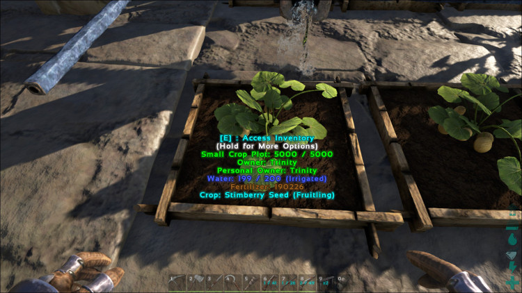 Stimberries can be grown in any Crop Plot in Ark. In this image the Simberries are growning in a Small Crop Plot.