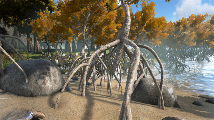 This image shows one of the types of trees on the Ark that can provide Rare Mushrooms.