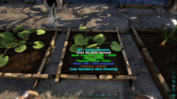 Narcoberries can be grown in any size Crop Plot in Ark. In this image the Narcoberrries are growing in a Small Crop Plot.