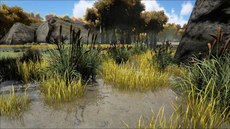 In this image you see one of the types of bushes on the Ark where you can find a rare Plant Species X seed drop. It is located in the Swamp Biome.