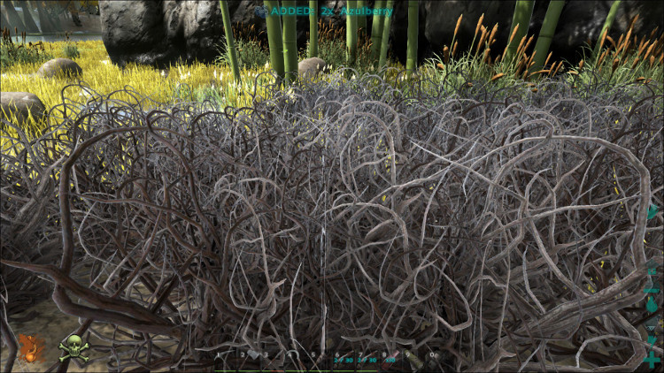 In this image you see another one of the types of bushes on the Ark where you can find a rare Plant Species X seed drop. This one is also located in the Swamp Biome.