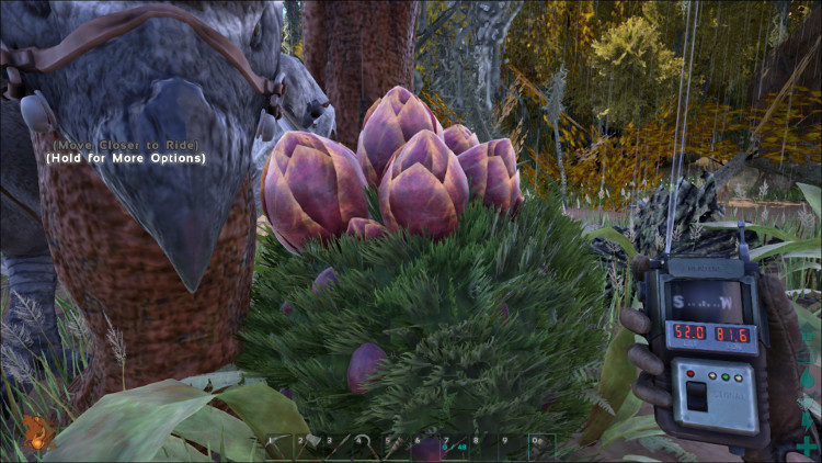 This image shows what Plant Species X looks like when you find it in the wild on the Ark.