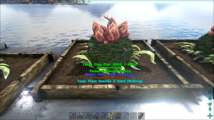 When Plant Species X reaches it's middle growth stage on the Ark it will look similar to this image.