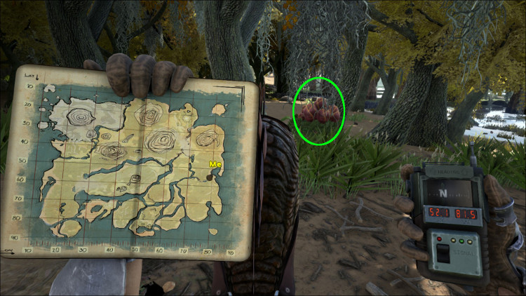 This image shows a wild Plant Species X with Map Location on the Ark at 52.1 - 81.5.