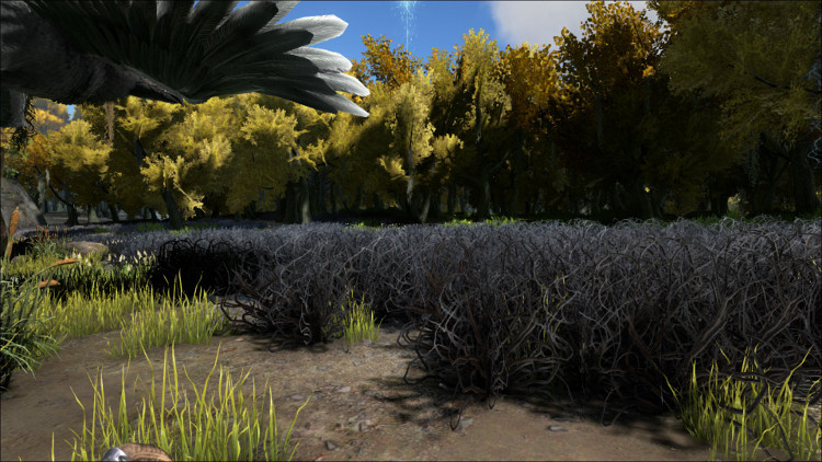 This image shows one set of bushes that can provide Rare Flower drops in the swamps on the Ark.