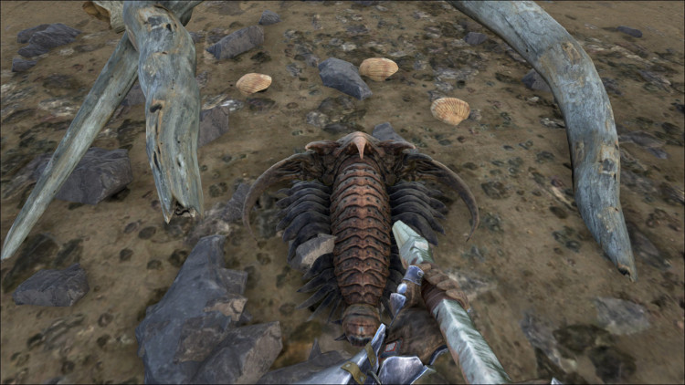 Trilobites can be found along the beaches and banks of nearly any body of water in Ark.