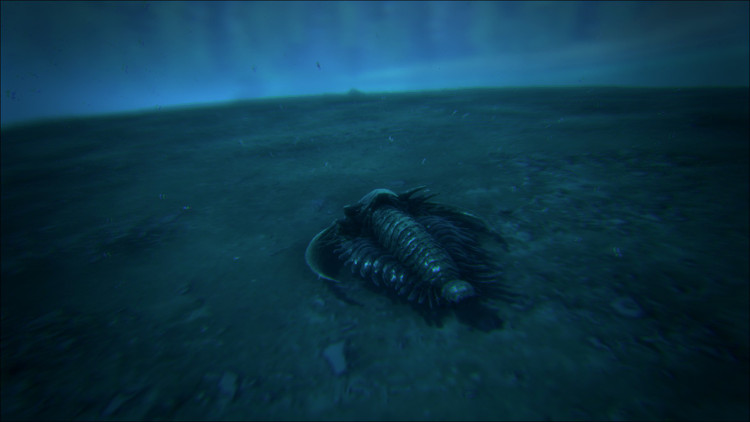 The Trilobite is a decent source of small quantities of Oil in Ark. It is also the safest method of harvesting Oil.