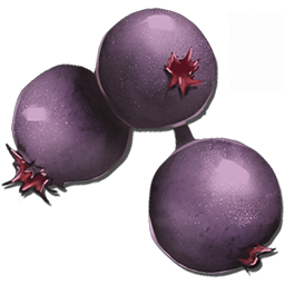 Mejoberries are a common drop from harvesting almost any bush in Ark. These berries can be grown in any crop plot.